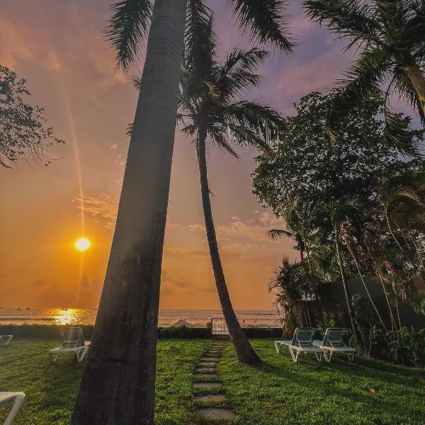 Iguana Surf Camp & Beachfront Hotel photo 5