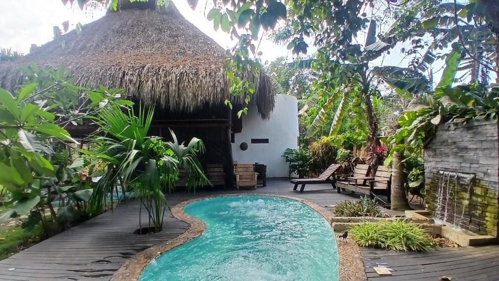 Chez Oliv photo 1