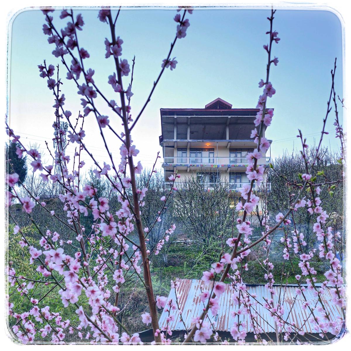 La Heim Hostels photo 1