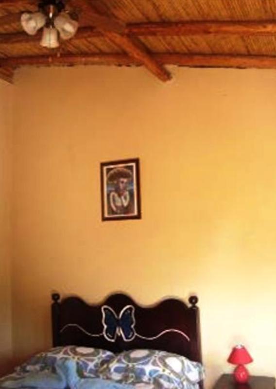 Ecolodge Blue Morpho photo 4