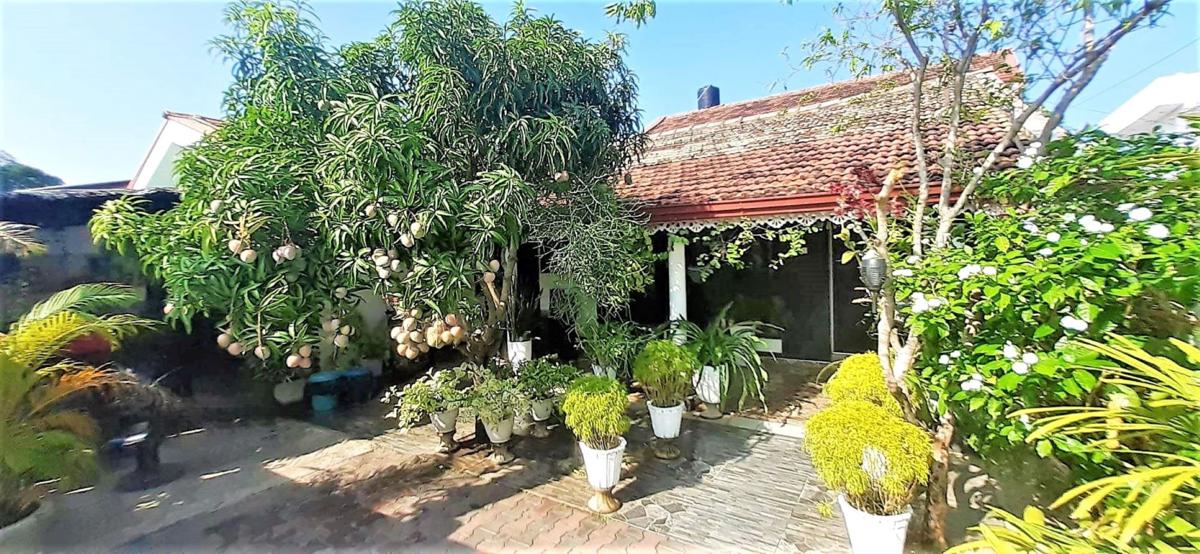 Alexandra Family Villa photo 2