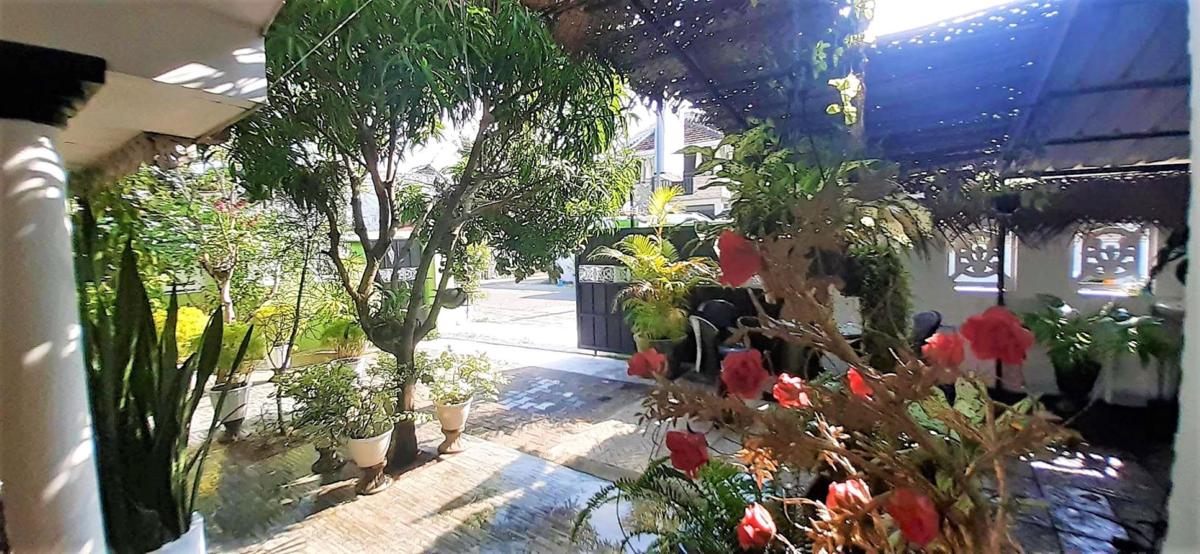 Alexandra Family Villa photo 3