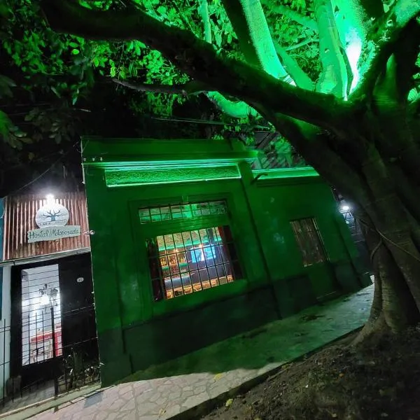 El Gran Gomero Hostel & Motoposada photo 5