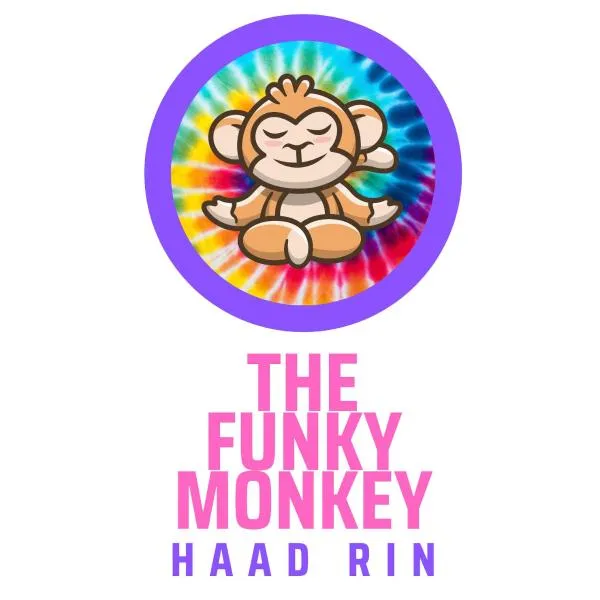 The Funky Monkey Hostel - 18 to 40 years old only photo 5