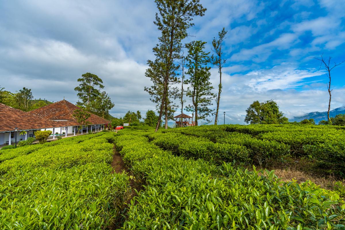 Zostel Plus Wayanad photo 3