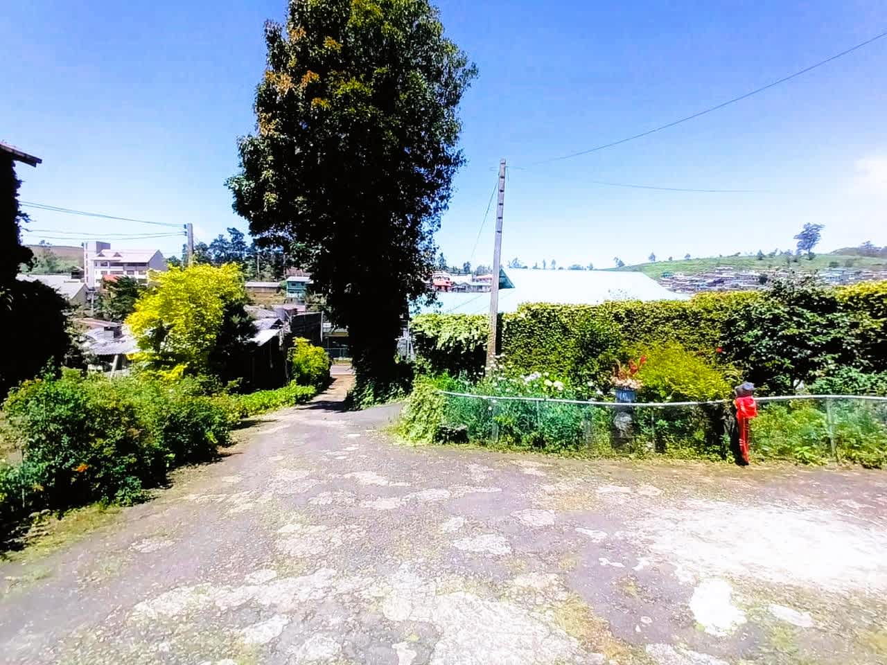 ANN FIELD Hostel & Homestay photo 4