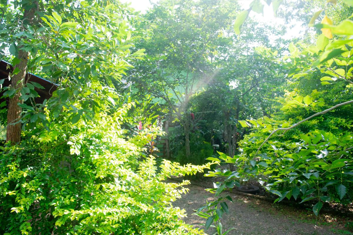 Evergreen Villa Nature Resort photo 1