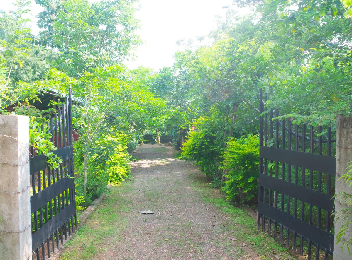 Evergreen Villa Nature Resort photo 2