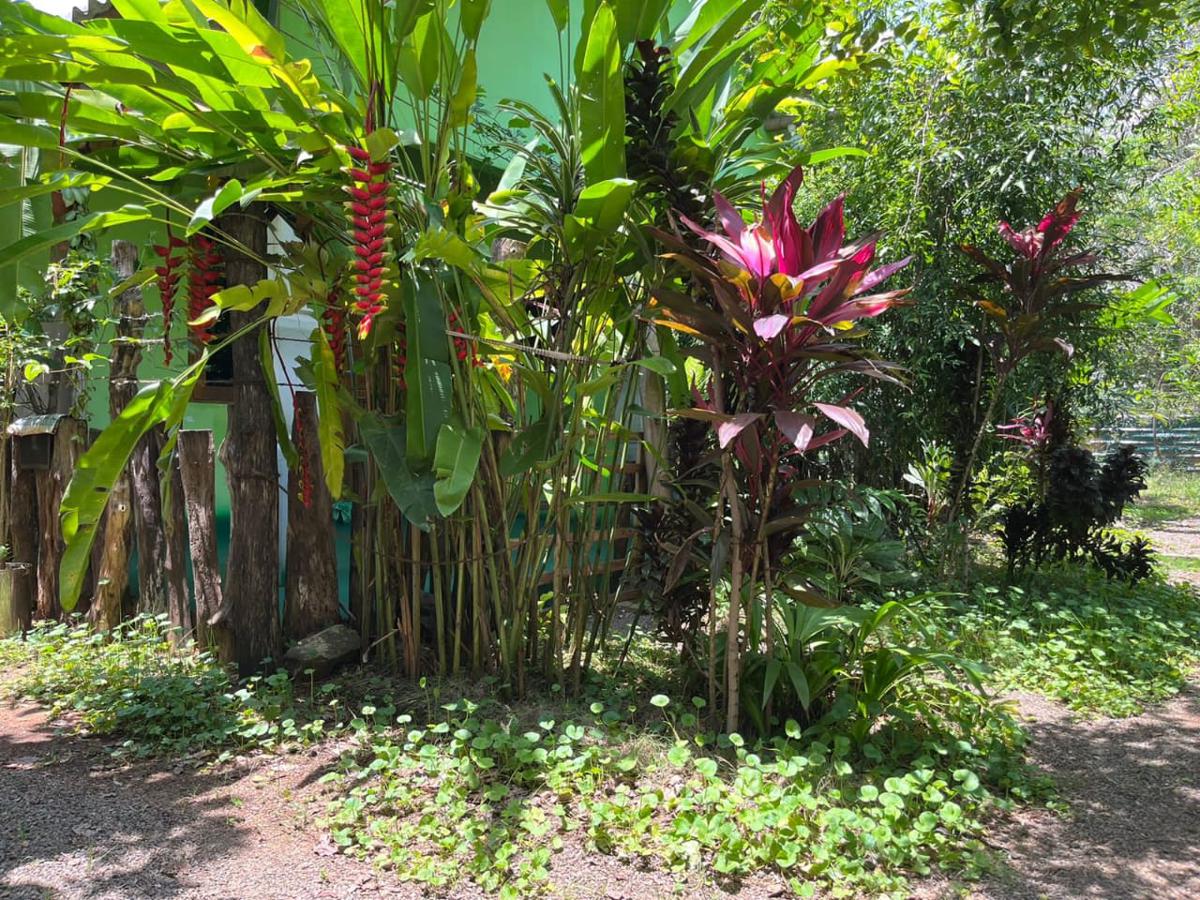 Evergreen Villa Nature Resort photo 4