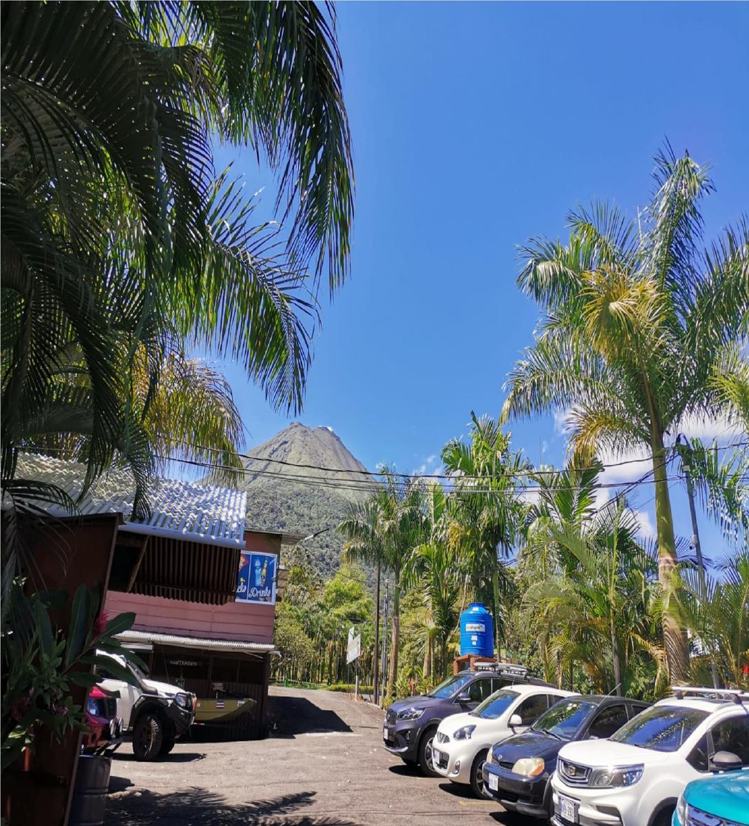 Hotel Palmera Real Hot Springs photo 3