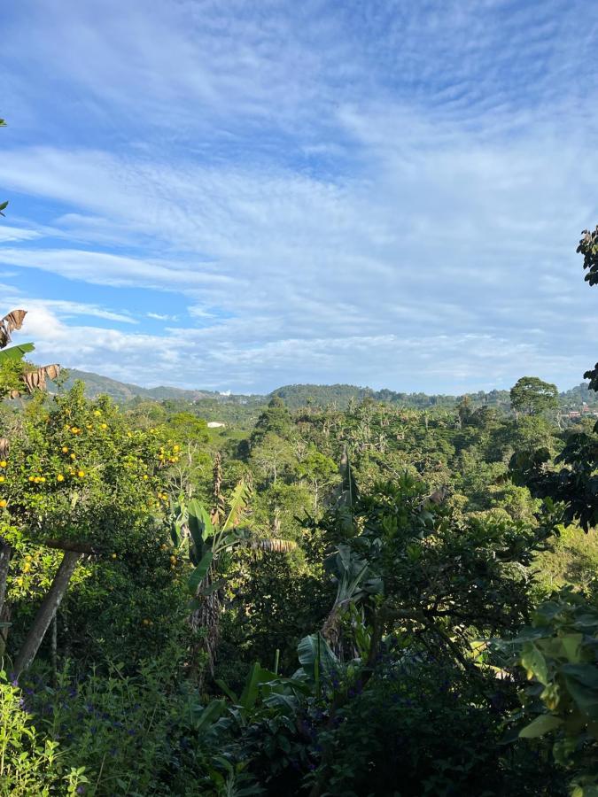 Ecoturismo La Nohelia photo 6