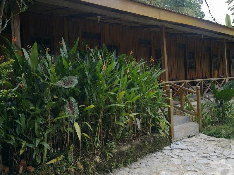 Ue Datu Lodge and Cottages photo 1