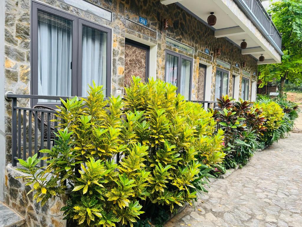 Mai Chau Happy House photo 1