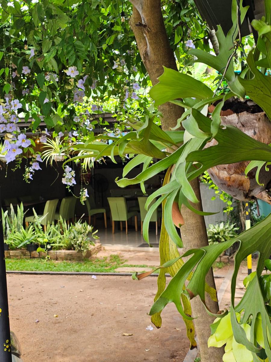 Goalma Wilpattu Safari Facility photo 3