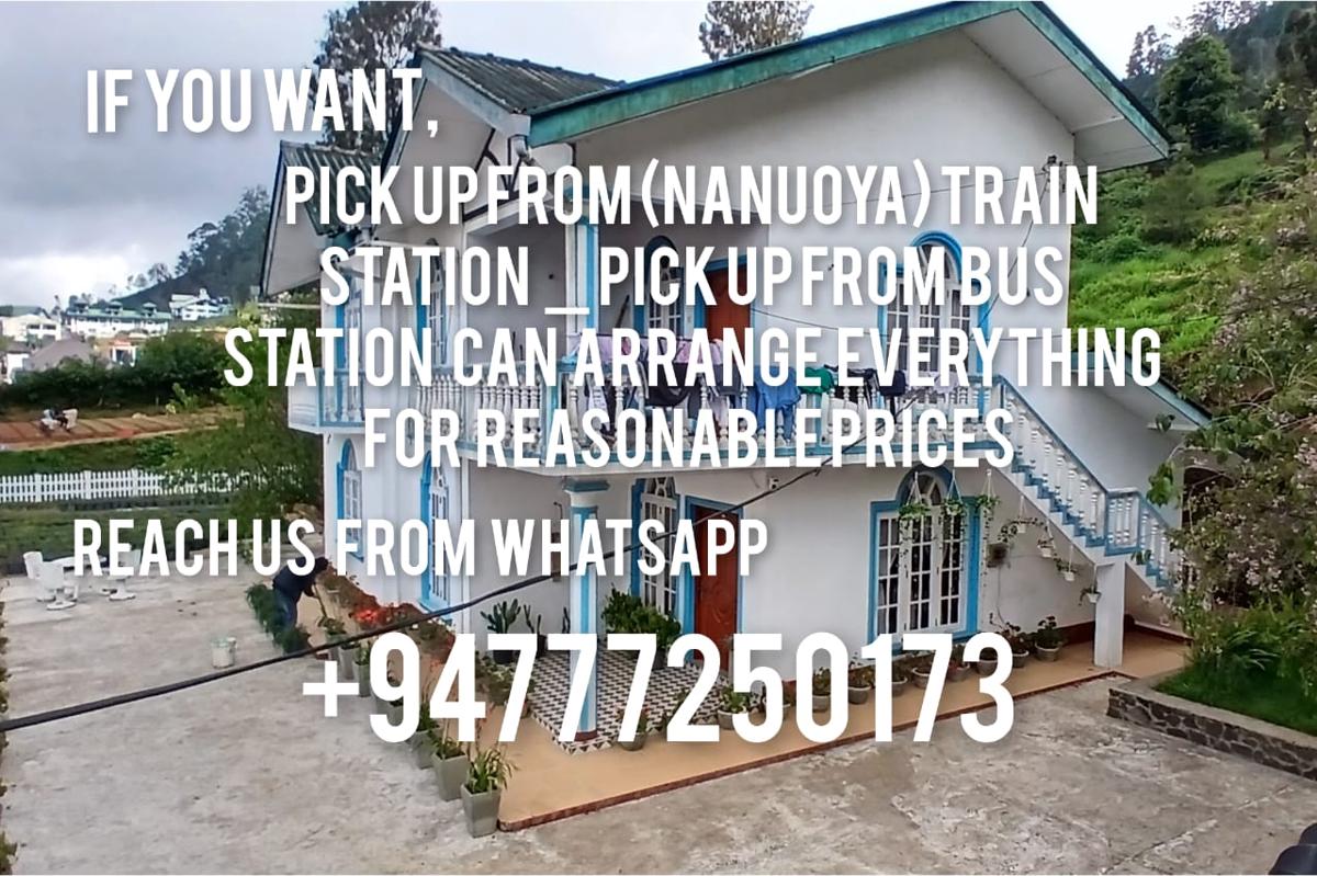 Vibe Way (Hostel & Market Farm) photo 3