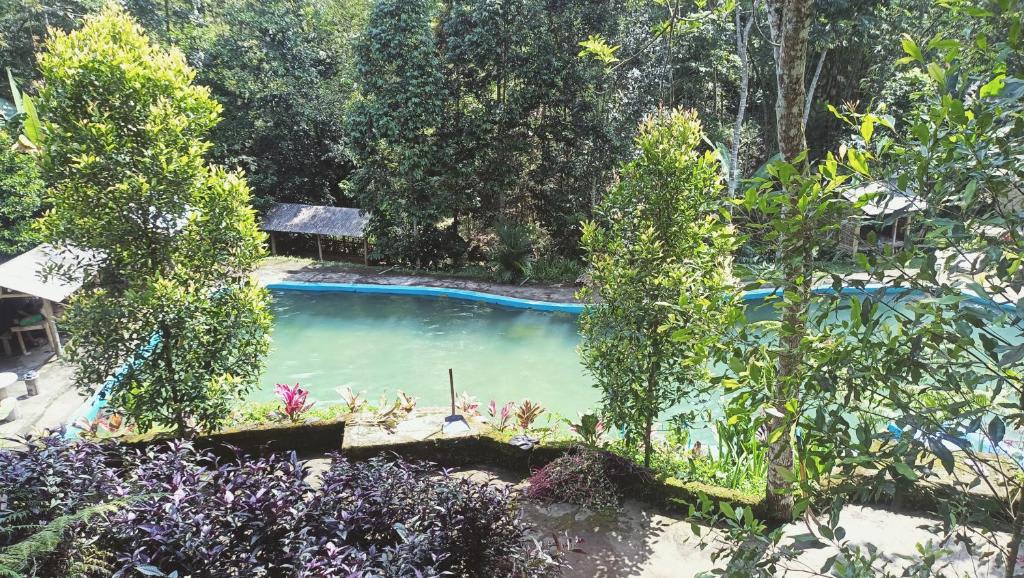 Lingkung Park Tetebatu photo 3