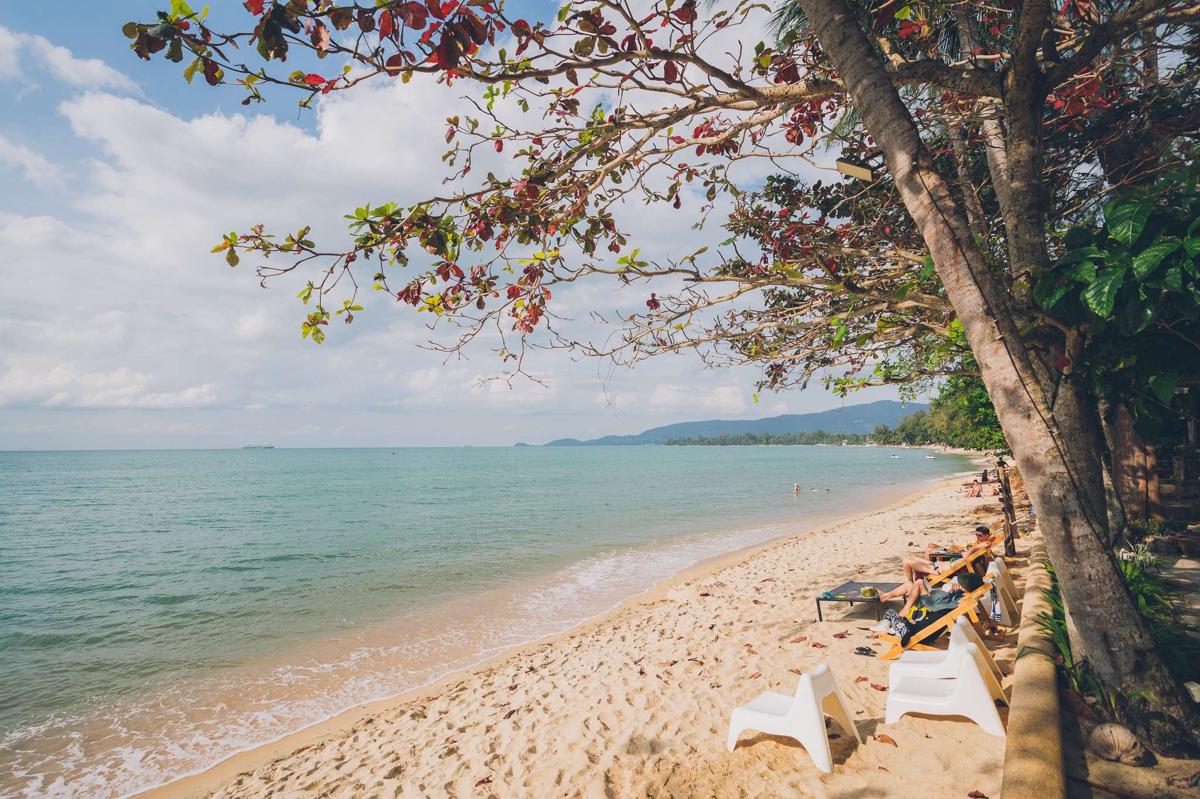Chill Inn Lipa Noi Hostel and Beach Cafe photo 3