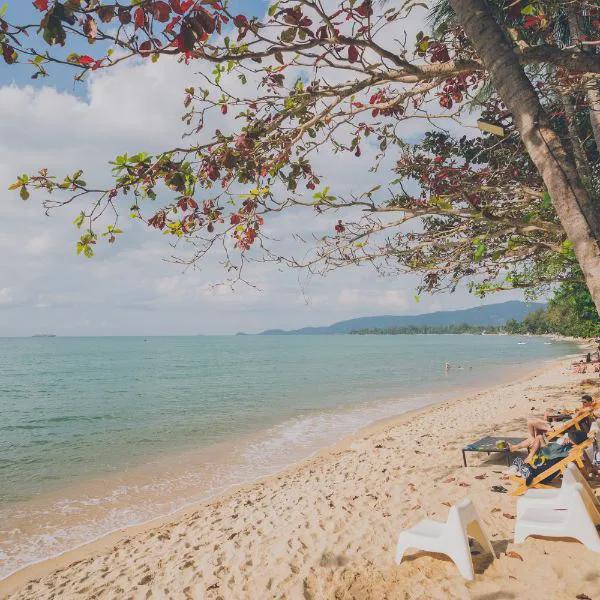 Chill Inn Lipa Noi Hostel and Beach Cafe photo 5