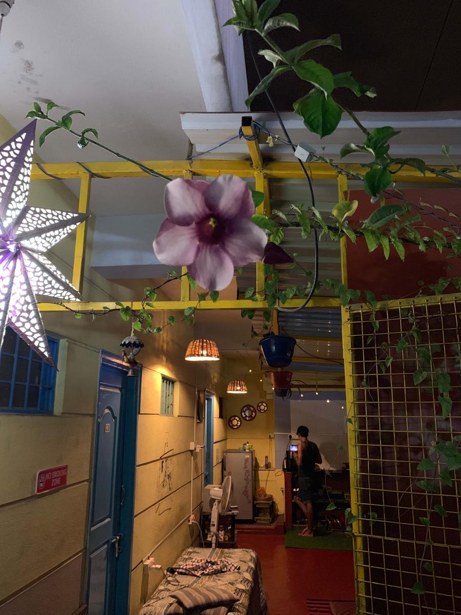 The Little Blue Window Hostel photo 3