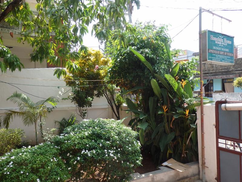 Honolulu Home Cochin Fort Kochi photo 2