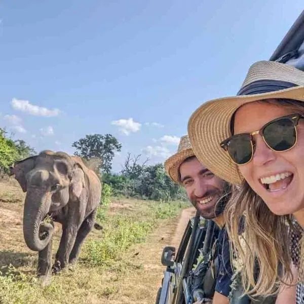 Elephant Paradise Safari Lodge photo 5