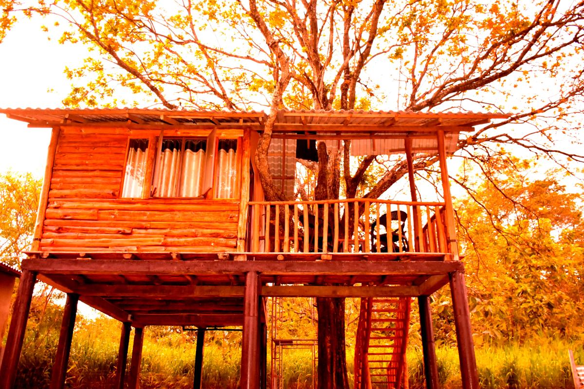 Tree House 4 Nature Lovers photo 1