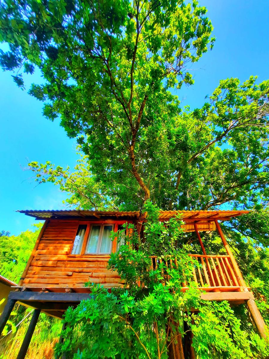 Tree House 4 Nature Lovers photo 2