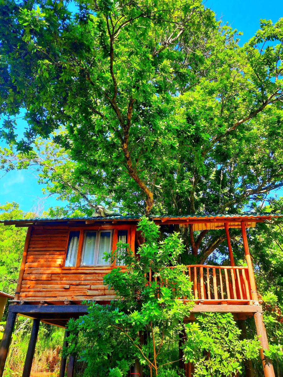 Tree House 4 Nature Lovers photo 3