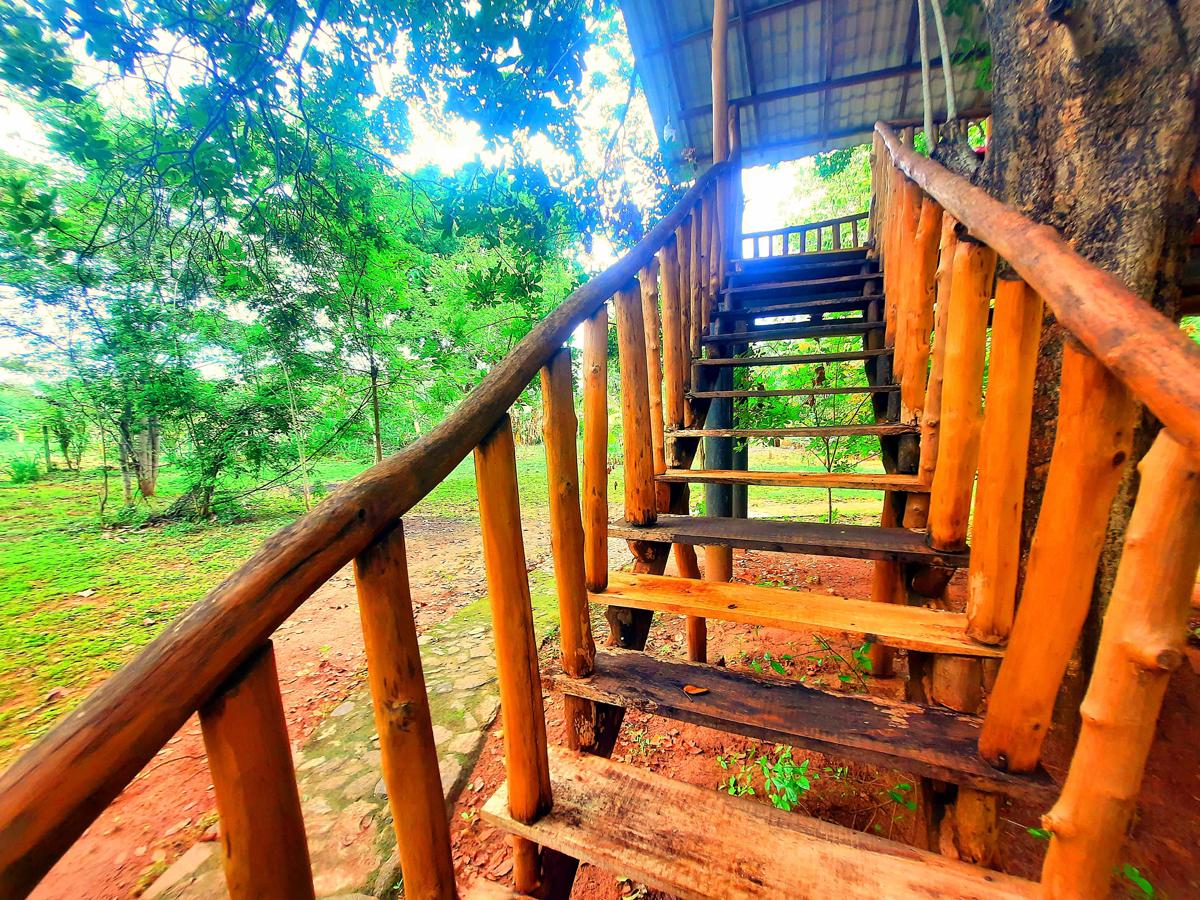 Tree House 4 Nature Lovers photo 4