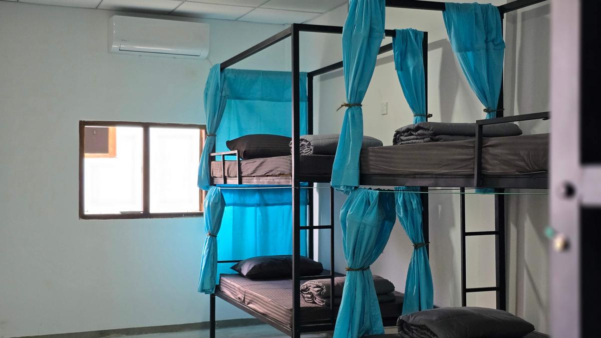 One Decision Hostel photo 4