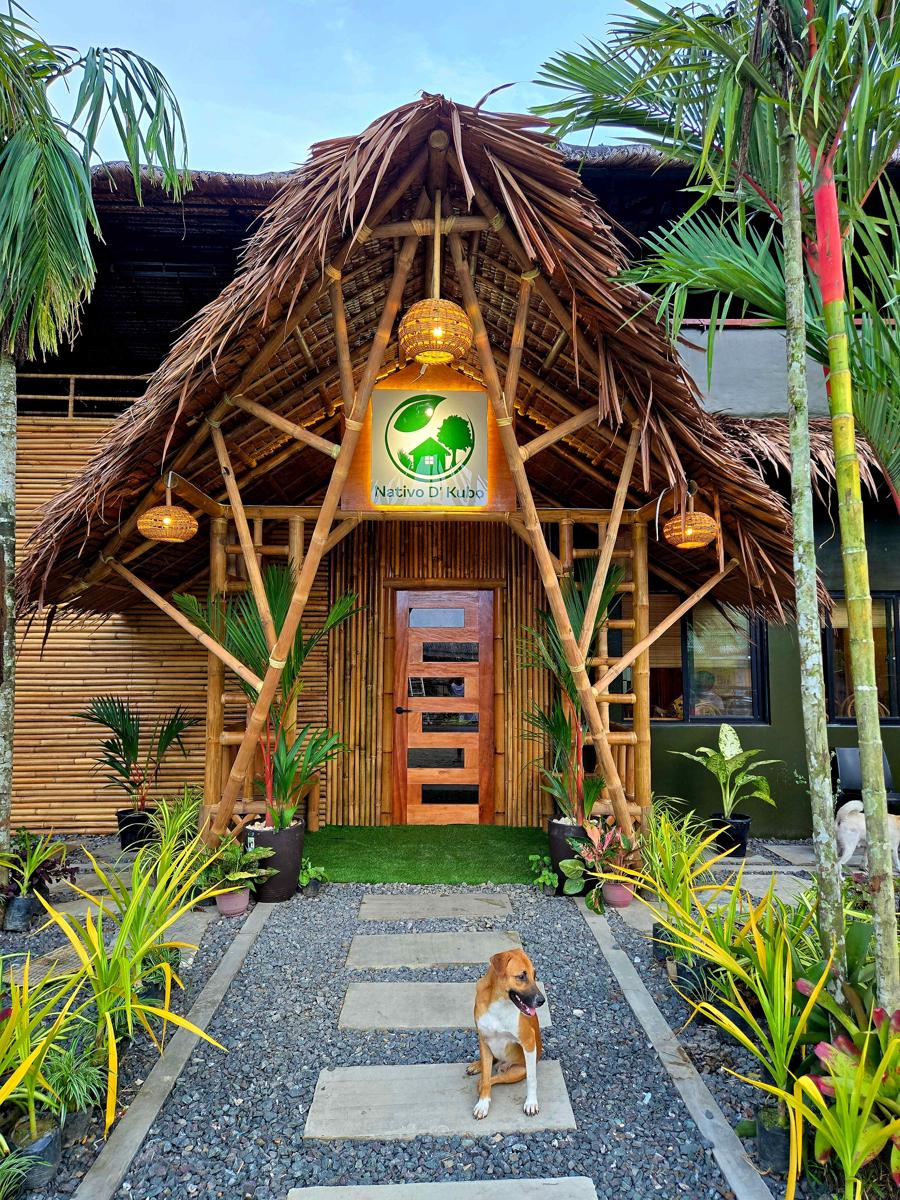 Nativo D Kubo Hostel - Mixed Dorm photo 2