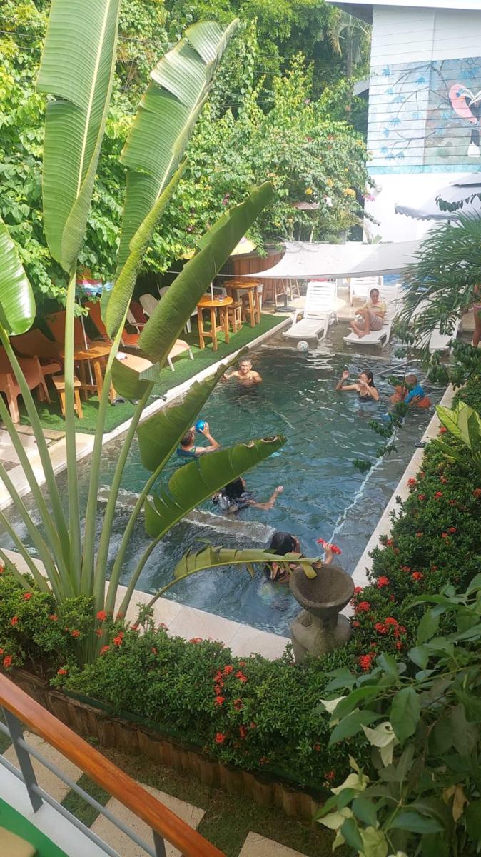 Bellavista Suites by Villas Verdes photo 4