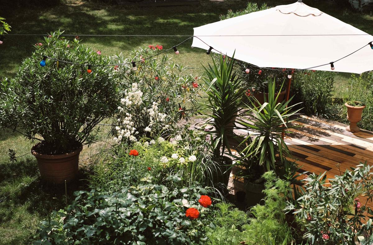 Hostel & Garten Eden photo 3