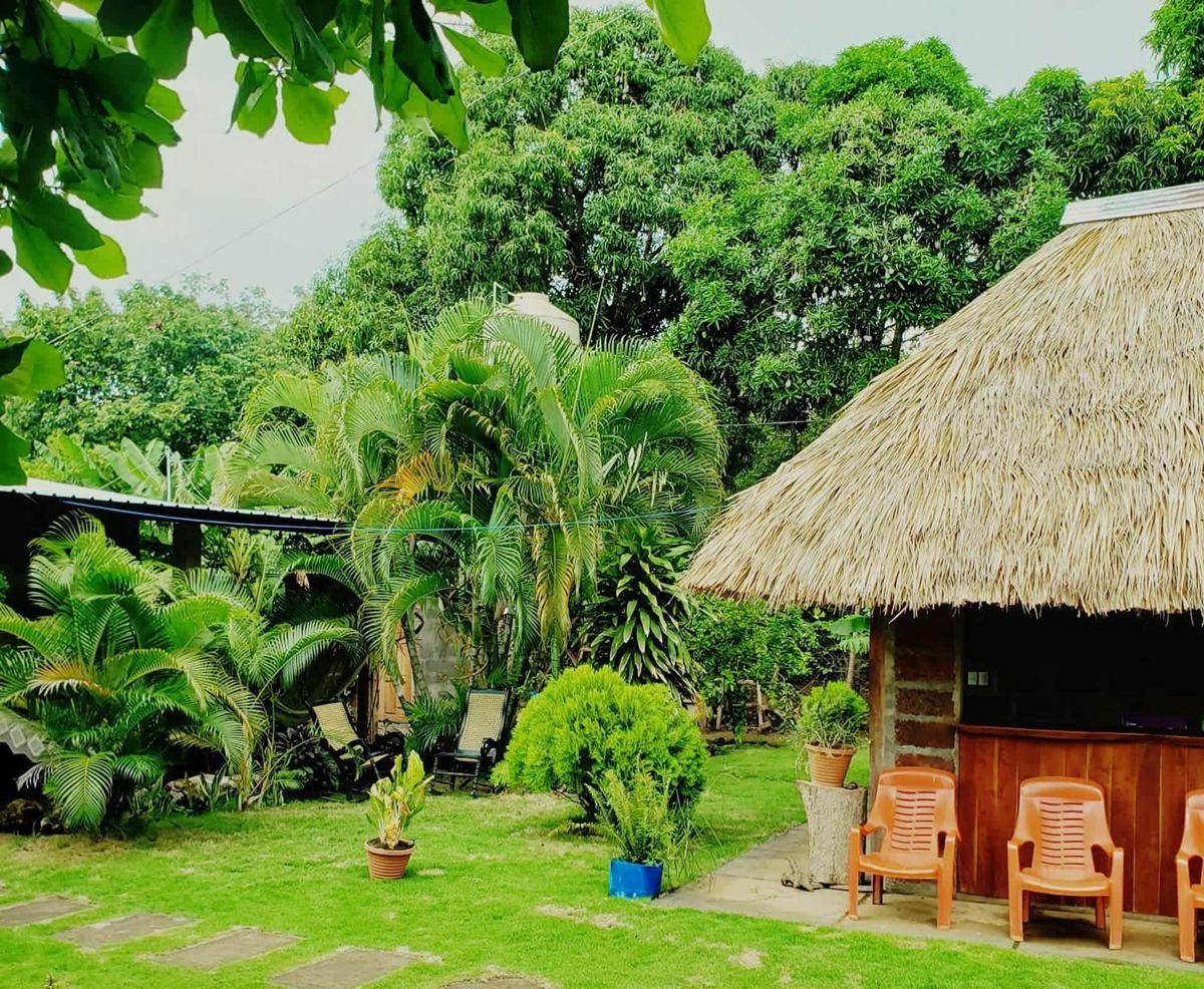 Green Hostal photo 2