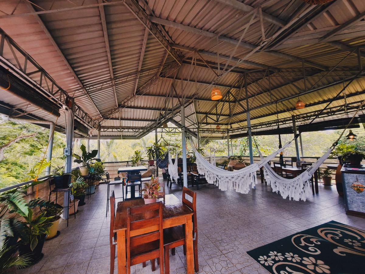 La Vida Hostel photo 4