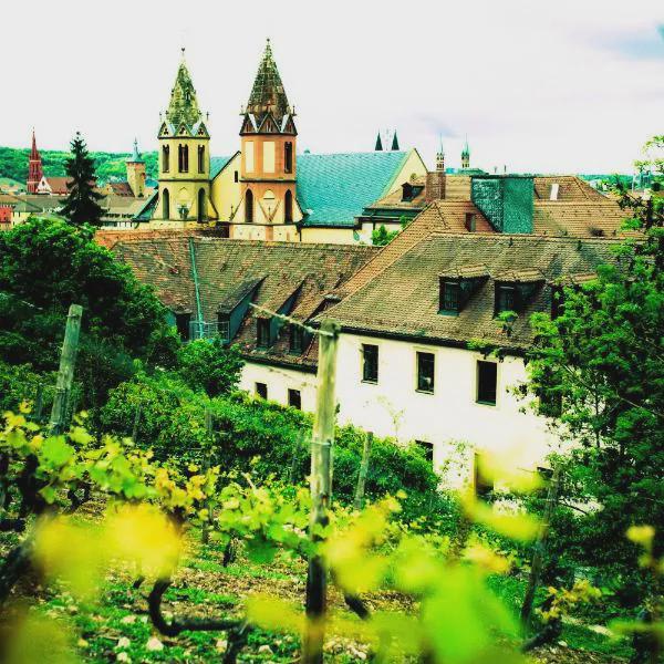 Jugendherberge Würzburg photo 5