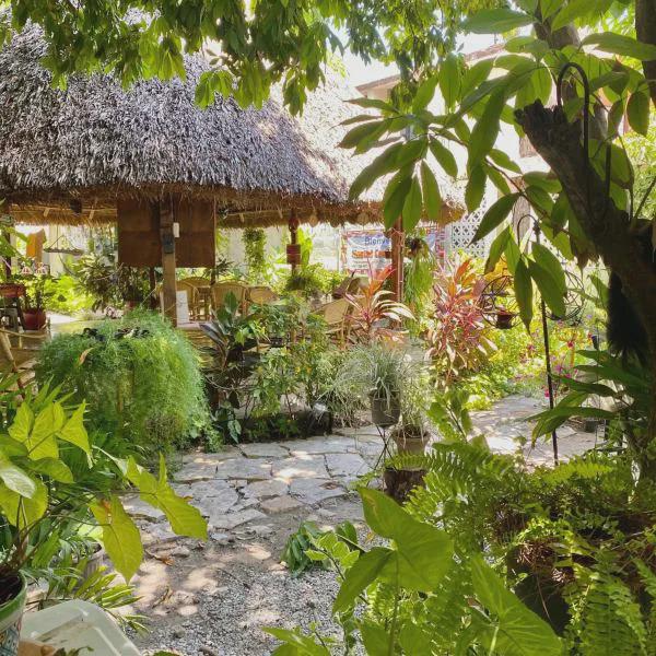 Hostal Casa Huasteca photo 5