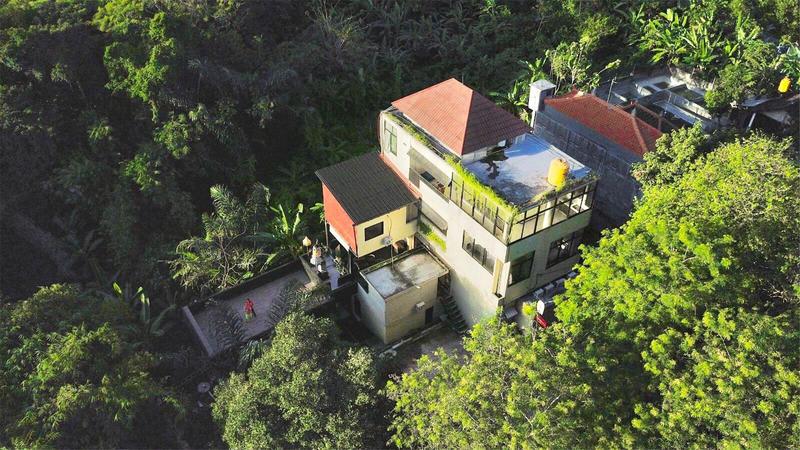 The Paica photo 2