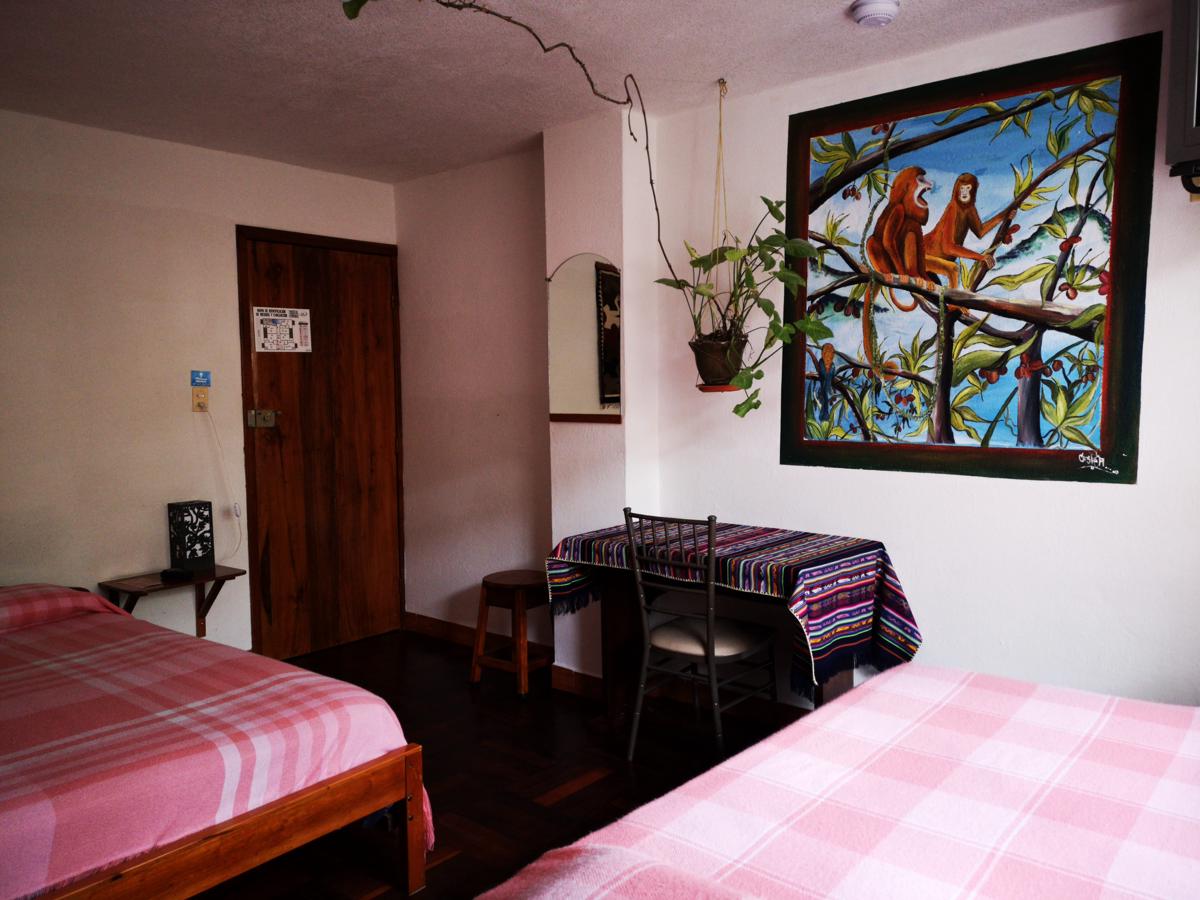 Hostal Chimenea photo 4