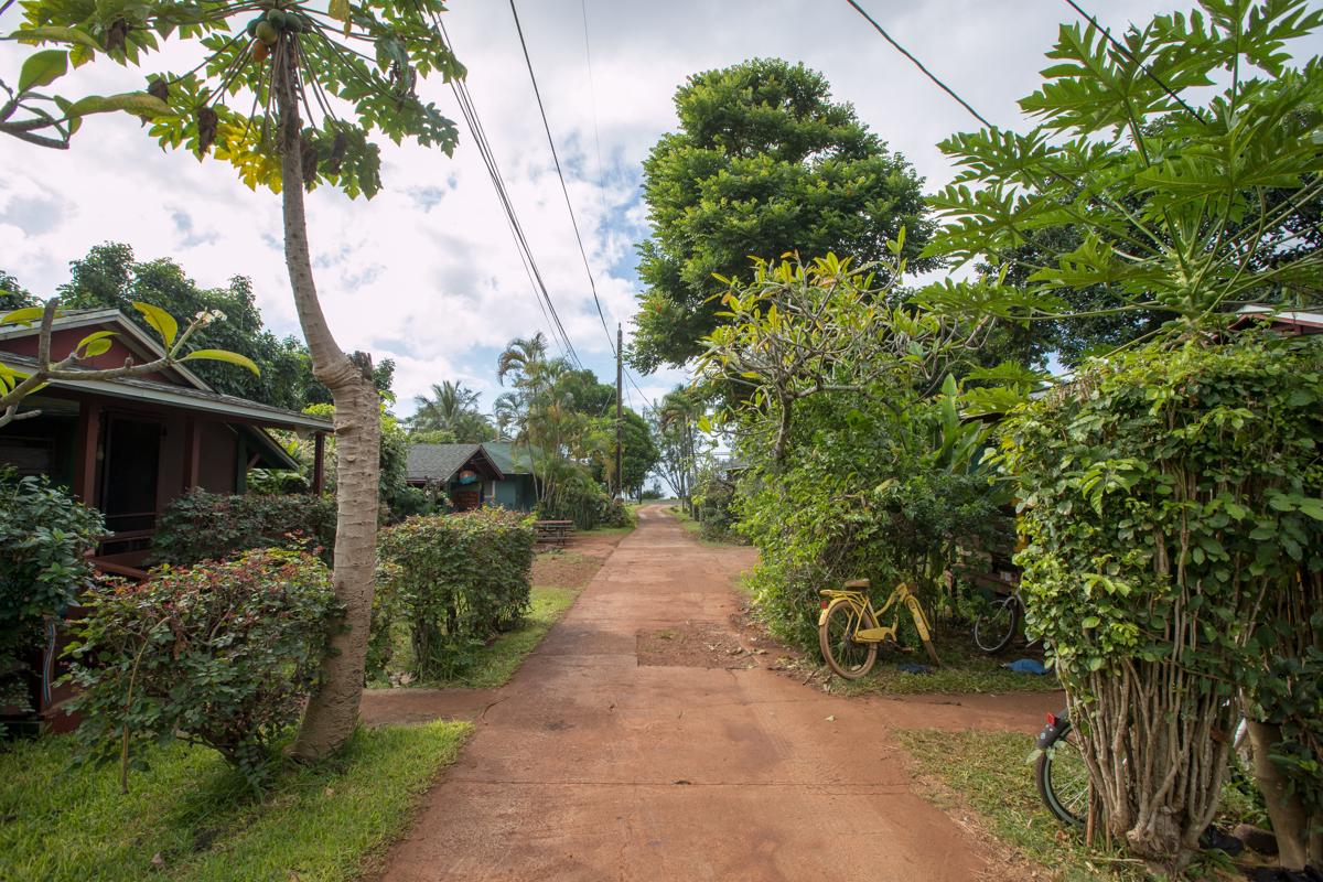 Backpackers photo 4