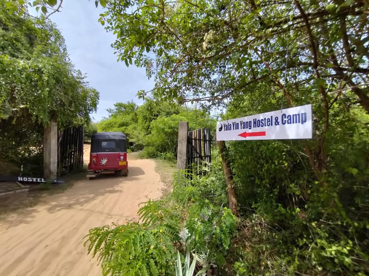 Yala Ying Yang Hostel & Camping photo 3