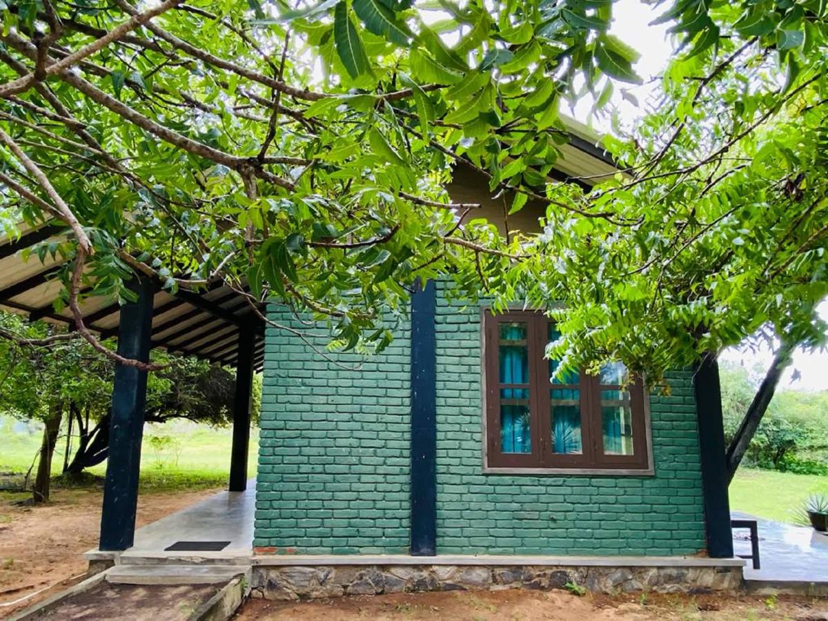 Yala Ying Yang Hostel & Camping photo 4