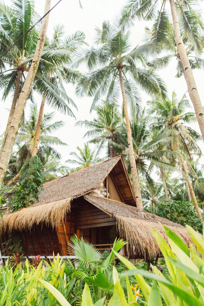Harana Surf Resort photo 2