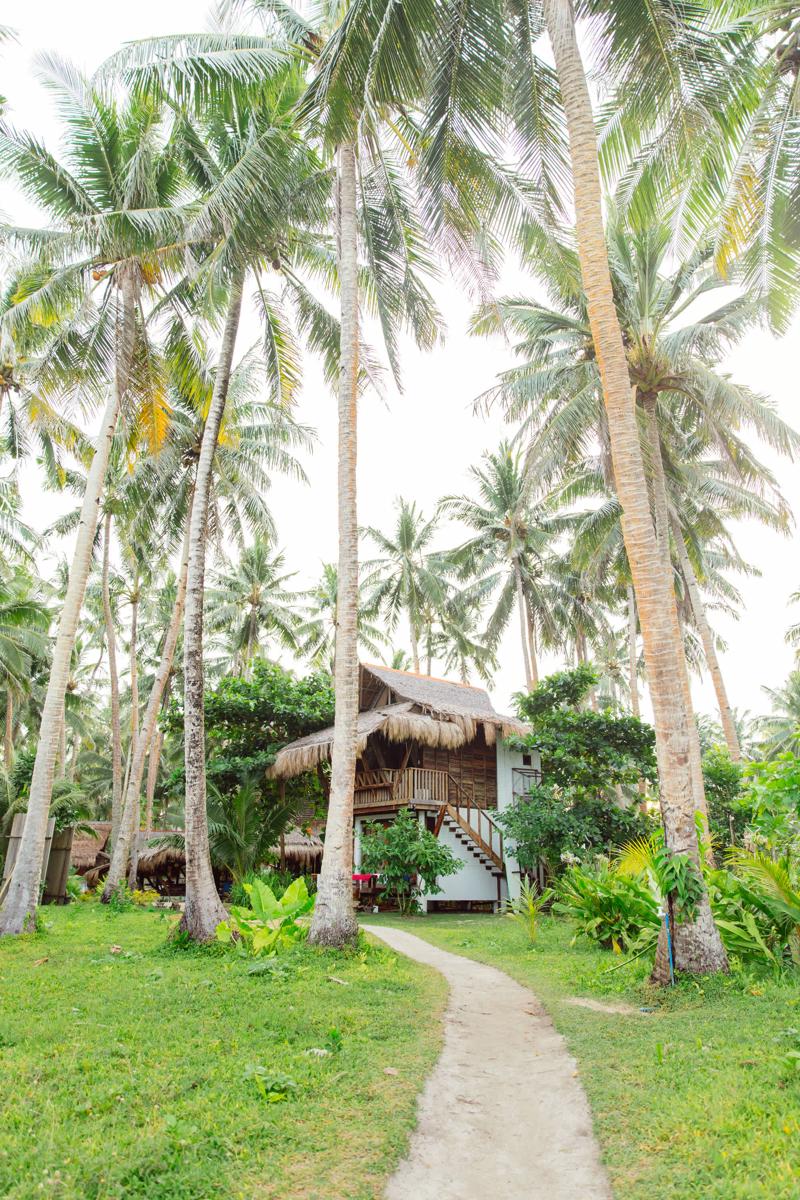 Harana Surf Resort photo 3
