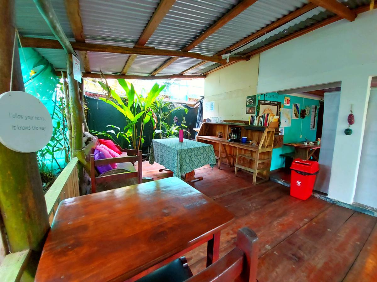 Cabinas Tortuguero photo 2