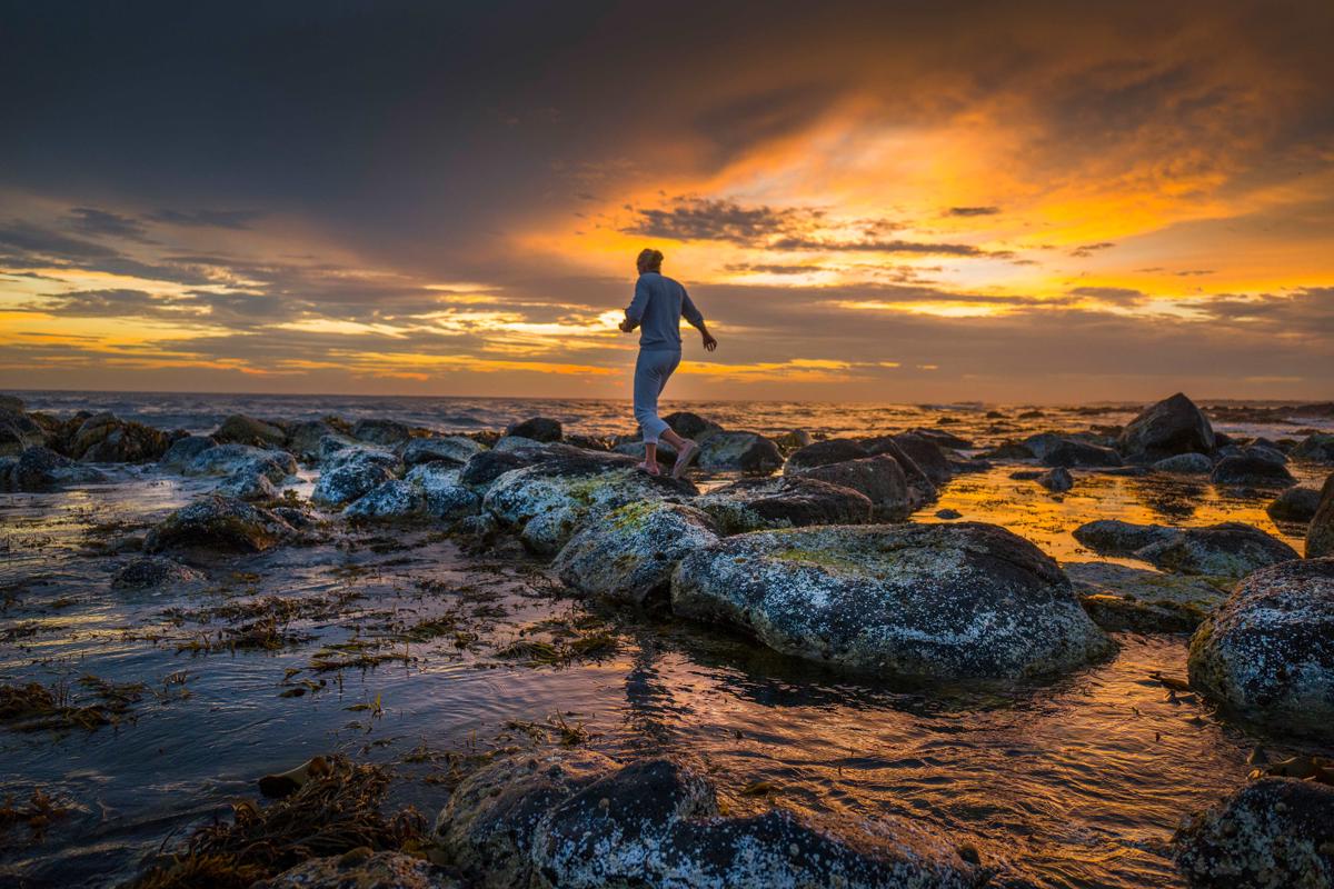 The Wandering Whale Port Fairy photo 1