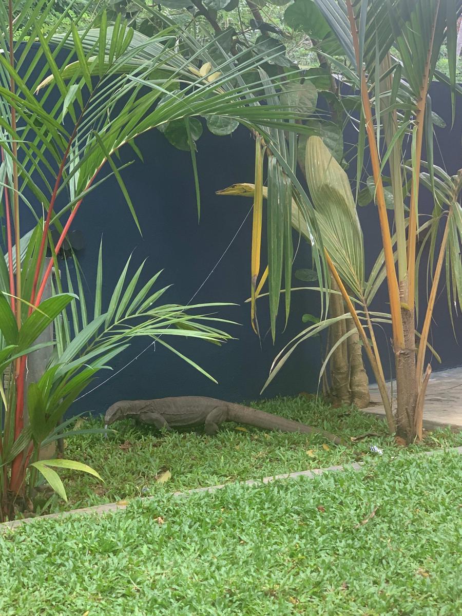 Pranaya Hiriketiya photo 3