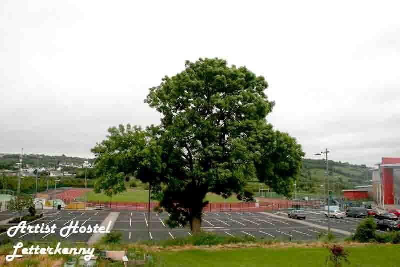 Artist Letterkenny photo 3