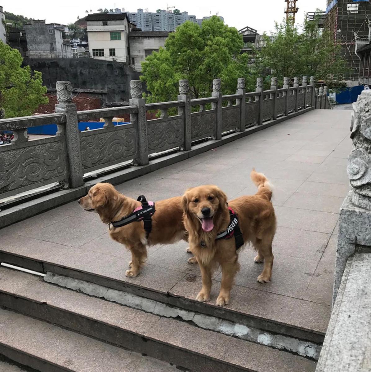 Fenghuang Hemu House (Phoenix Hong Bridge) photo 4