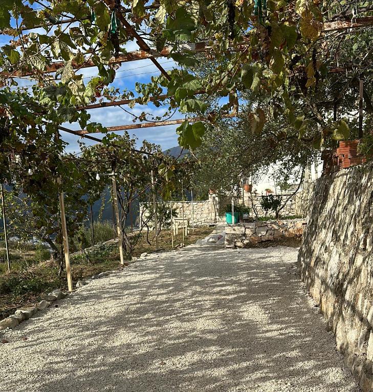 Hostel On The Hill - By Filikuri Beach photo 2